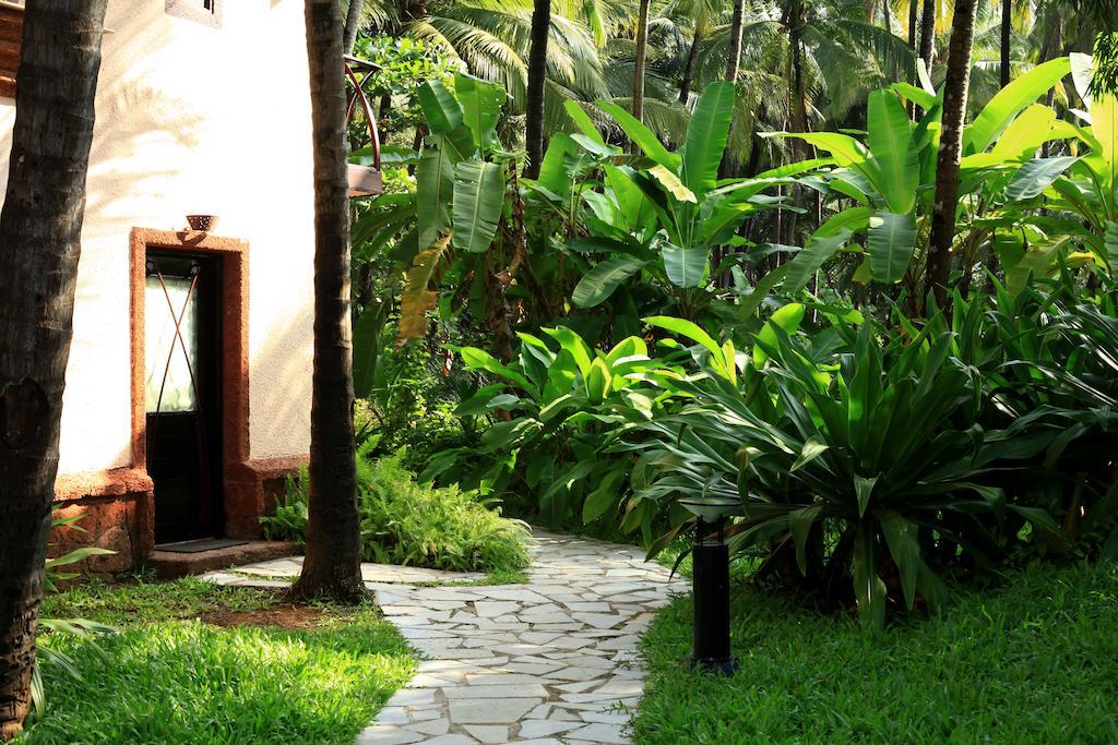Coconut Creek Resort - Dabolim Airport Mormugao Εξωτερικό φωτογραφία